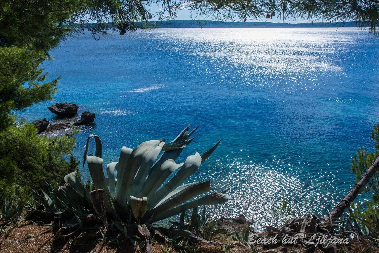 Cast Away - Eco Resort Zavala Exterior foto